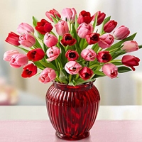 1800flowers.com sweetest love tulips