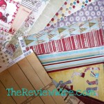 Fancy Pants Designs Review