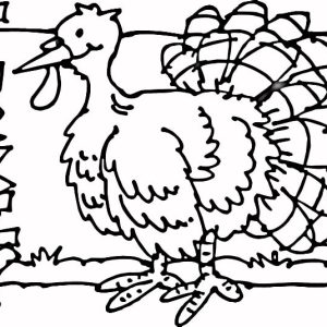 Turkey-coloring-page