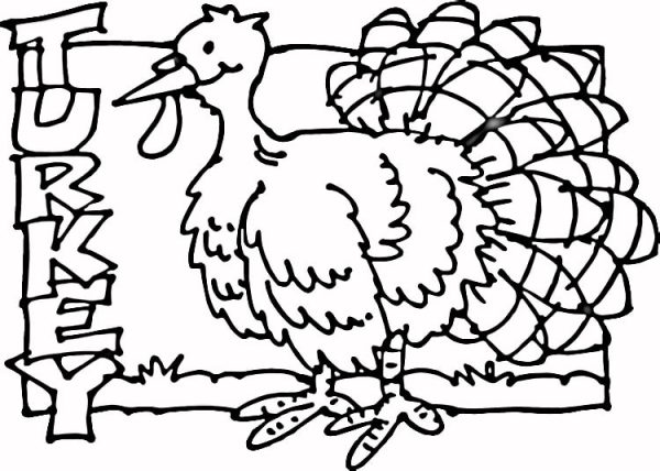 Turkey-coloring-page