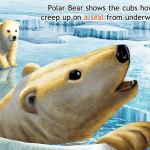 Polar Bear Horizon APP Review Polar Bear Horizon APP Review