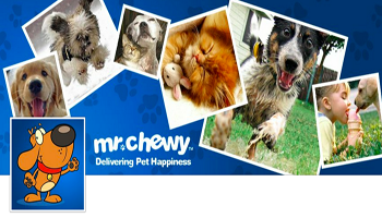 Chewy.com: Dog & Cat Supplies Review