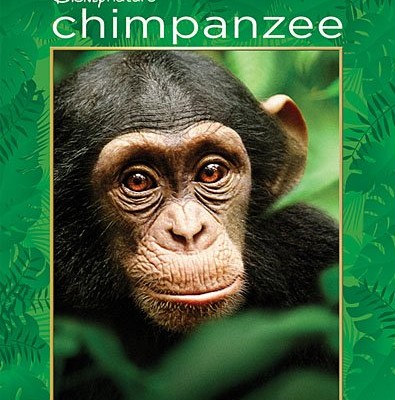 DisneyNature’s CHIMPANZEE Plus Interview with The Director