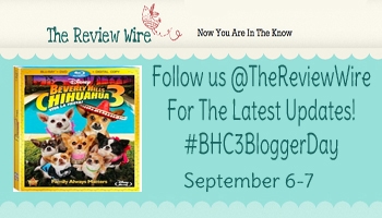  #BCH3BloggerDay 