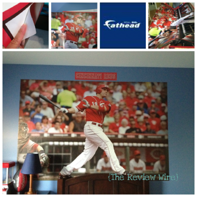 Fathead Wall Graphics Review