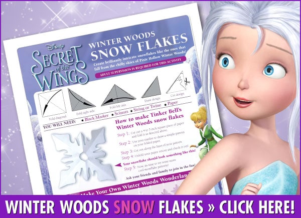 Winter Woods Snow Flake Activity From Secret of the Wings