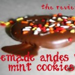 Andes Thin Mint Cookies Recipe