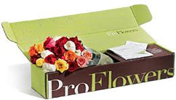 ProFlowers Review: Easter Morning Bulb Garden