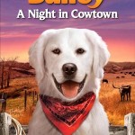 Adventures of Bailey DVD: A Night in Cowtown