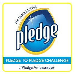Pledge Ambassador Badge