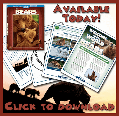 Disneynature Bears Printable Activities #MeetTheCubs