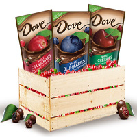 Dove Chocolate Covered Fruit