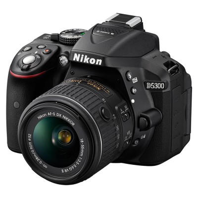 Hot Cameras for the Photographer on Your List at Best Buy #CamerasatBestBuy