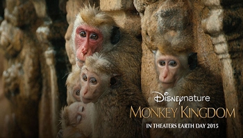 Monkey Kingdom Review and Monkey Kingdom Educators Guide