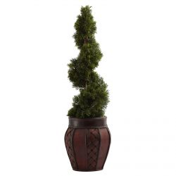 Cedar Spiral Topiary