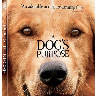 A Dog’s Purpose (2017) Blu-ray + 6 Recipes for Homemade Dog Treats