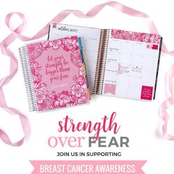 Erin Condren Strength Over Fear