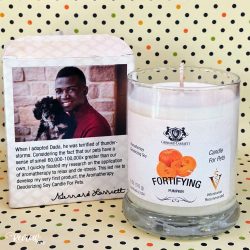 Aromatherapy Deodorizing Soy Candle for Pets: Fortifying Pumpkin