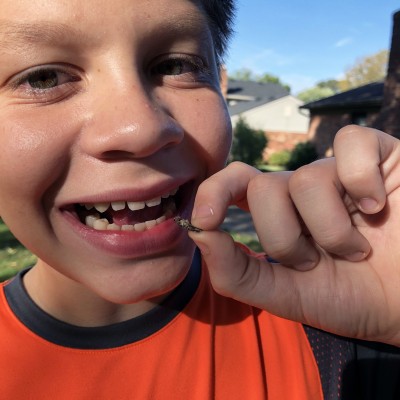 Edible Insects Mini-Kickers: Flavored Roasted Crickets