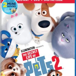 The Review Wire Summer Guide 2019: The Secret Life of Pets 2