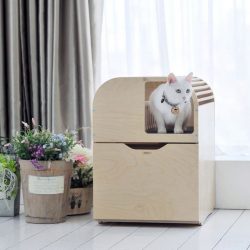 Camada Litterbox