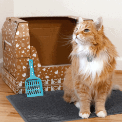 The Review Wire Holiday Gift Guide 2020: Kitty Poo Club