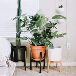 The Review Wire Holiday Gift Guide 2020: Mid-Century Adjustable Plant Stand from declutterd