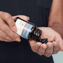 The Review Wire Holiday Gift Guide 2020: Papa & Barkley CBD Releaf Capsules