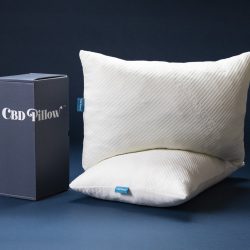 The Review Wire Holiday Gift Guide 2020: CBD Pillow
