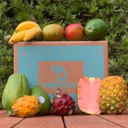 The Review Wire Holiday Gift Guide 2020: Taste the Tropics Fruit Box