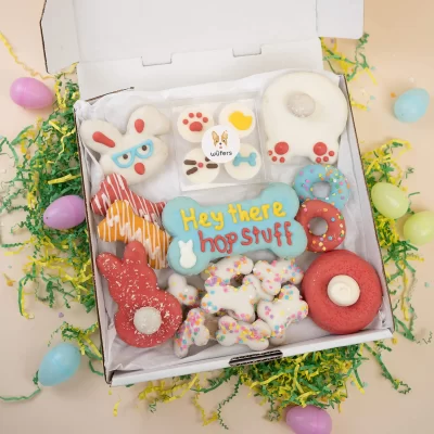 Wüfers Easter Dog Cookie Boxes