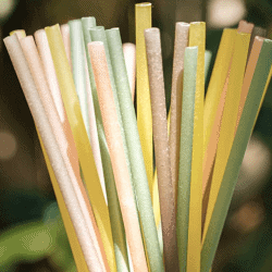 The Review Wire Summer Guide: EQUO Biodegradable Straws