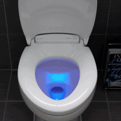 The Review Wire Fall Guide: LumaWarm Heated Nightlight Toilet Seat