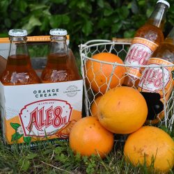 The Review Wire Summer Guide: Orange Cream Ale-8-One