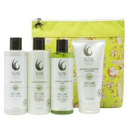 The Review Wire Summer Beauty Guide: Tropical Escapes Key Lime Essentials