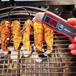 ThermoPro TP19 Thermometer