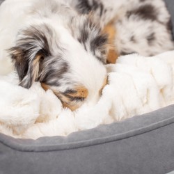 PetFusion Calming Cuddler Burrow Bed