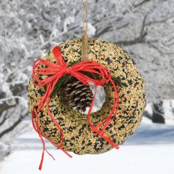 Bird Seed Wreath