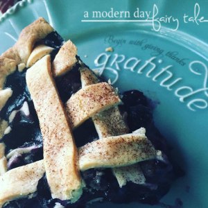 A Modern Day Fairy Tale Homemade Blueberry Pie
