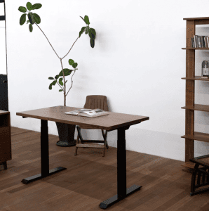 Willow Pro Solid Wood Standing Desk from Flexispot