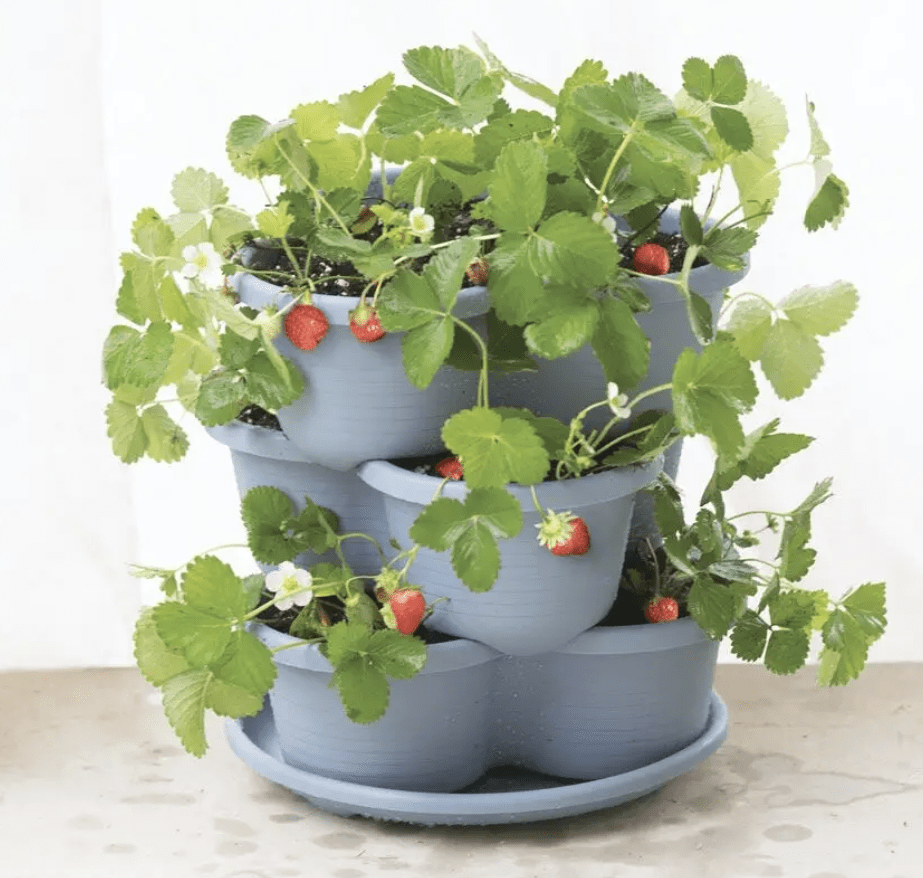 Gardener's Supply Company Stacking Strawberry Pot