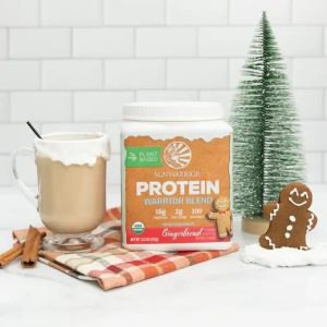 Sunwarrior Organic Warrior Blend Gingerbread Protein