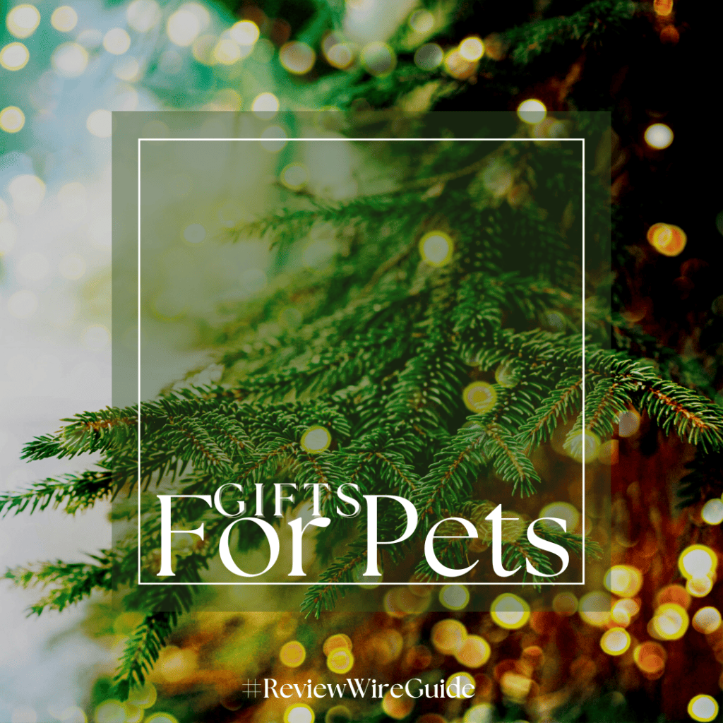 11th Annual Holiday Gift Guide 2022: Pet Gifts