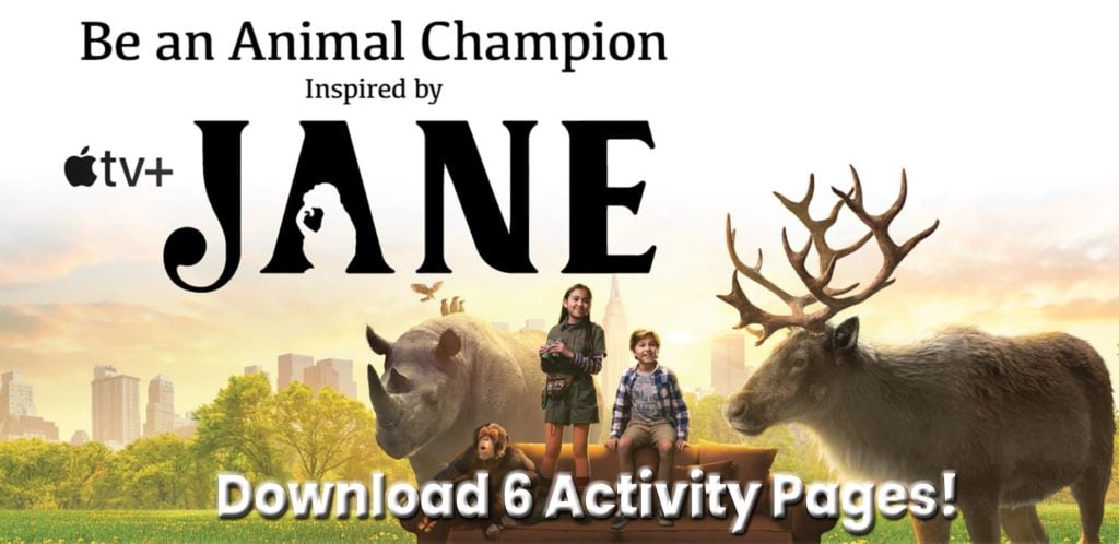 Jane Activity Pages