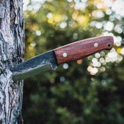 Coalatree Haswell Survival Knife