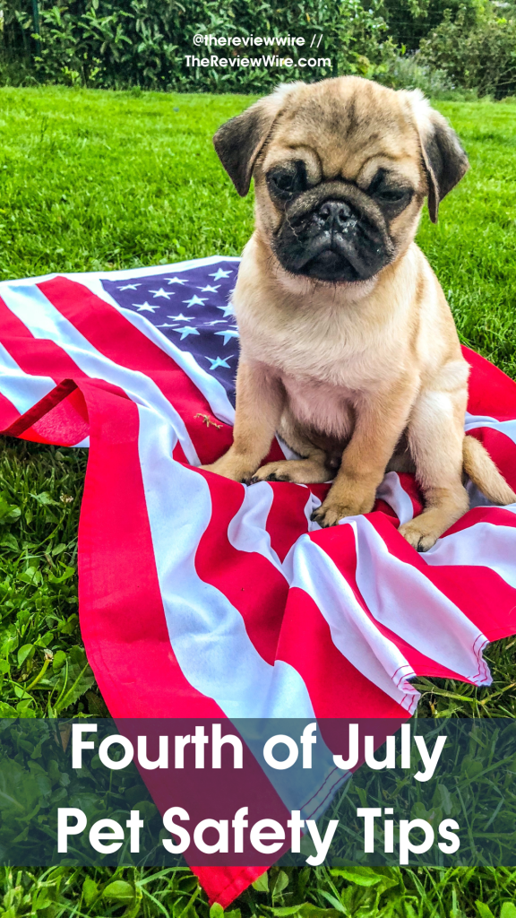 The Review Wire Safeguarding Your Furry Friends Fourth of July Pet Safety Tips