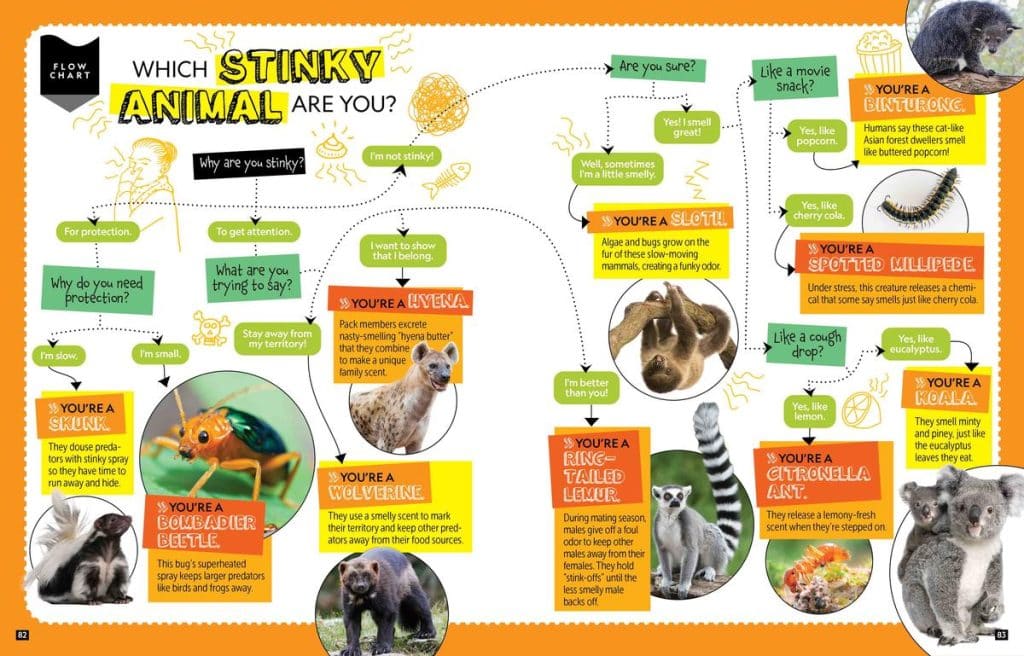 National Geographic Kids Personality Quizzes Inside Look