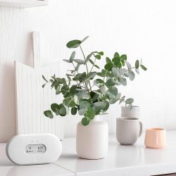 Airthings View Plus Indoor Air Quality Monitor