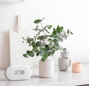 Airthings View Plus Indoor Air Quality Monitor