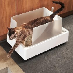 Tuft & Paw Cove Litter Box